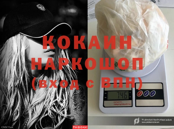 хмурый Корсаков