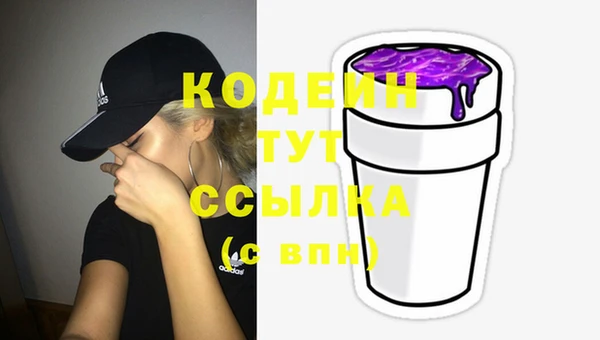 хмурый Корсаков