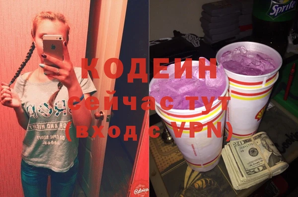 хмурый Корсаков