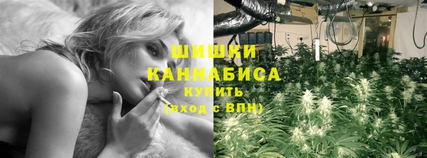 хмурый Корсаков