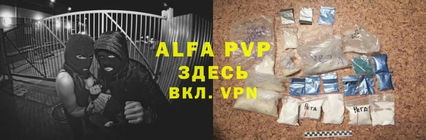 хмурый Корсаков